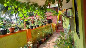a building with a bunch of potted plants on a wall at Christa Homestay in Mangalore