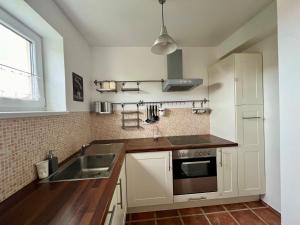 Köök või kööginurk majutusasutuses Apartmán Půda na jihu
