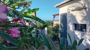 Zahrada ubytování Vacances entre mer et colline