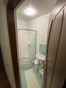 a bathroom with a shower and a toilet and a sink at La Mili in Grinţieşu Mic