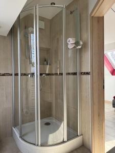 a shower with a glass enclosure in a bathroom at Semihome in Dietingen