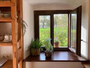 Zahrada ubytování Apartment im Loefengut