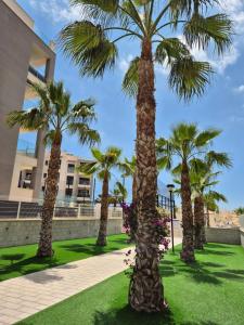 Zahrada ubytování NEW Stunning ground floor Apartment with Jacuzzi
