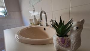 a bathroom sink with a potted plant in a vase at Cozy comfortable House in Mildura +14 photos