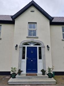 Majutusasutuse Silvi's Guest House Borris Carlow fassaad või sissepääs