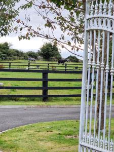 Foto sihtkohas Lissalican asuva majutusasutuse Silvi's Guest House Borris Carlow galeriist