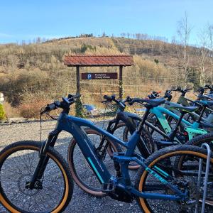 Jízda na kole v ubytování Steakhouse & Pension Crazy Horse nebo okolí
