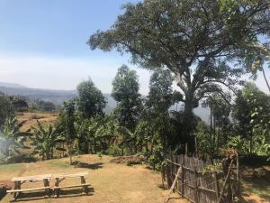 Phong cảnh thiên nhiên gần chỗ nghỉ nhà dân