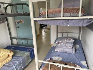 Katil atau katil-katil dalam bilik di Shenzhen Zhongge Budget Homestay Pingzhou Subway Station Branch