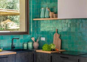 cocina con azulejos azules en la pared y fregadero en Villa Casalina, en Marina di Campo 50 fotos más