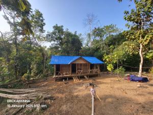 a small house with a blue roof in a field at SafarnamaStays Homestay & Camping Warichora Meghalaya in Bāghamāra