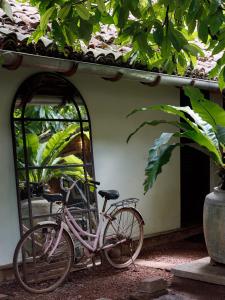 a pink bike parked in front of a building at The Bungalow Galle Fort - Hotel - Restaurant - Cocktail bar in Galle