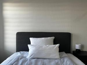 ケムニッツにあるNorthApartments Chemnitz am Stadionのギャラリーの写真