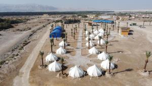a group of tents in a desert with palm trees at Tamar Land in Kalia