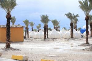 a row of palm trees and white tents at Tamar Land in Kalia +30 photos