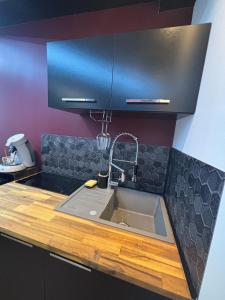 una cocina con fregadero y encimera en Love Room Redroom, en Voiron
