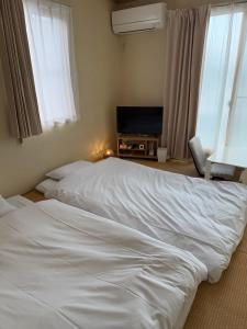 a bedroom with two beds and a flat screen tv at inn 2nd 102 in Kurashiki