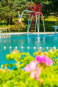 a person jumping into a pool with a red object in the water at Ferienwohnung - Landhotel Waldschlößchen in Sohland