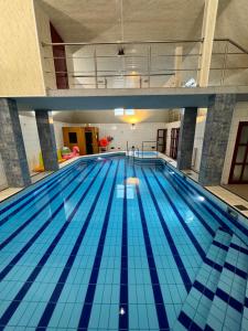 a large swimming pool in a building at Premium Residence SPA & Garden in Glińcz +115 photos