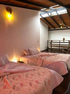 Katil atau katil-katil dalam bilik di Posada María E +10 gambar