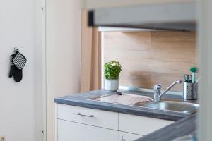Una encimera de cocina con un fregadero y una planta en maceta. en Schloss Glücksburg, en Glücksburg 21 fotos más