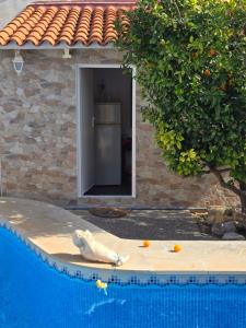 Bazén v ubytování La casa de Irina nebo v jeho okolí
