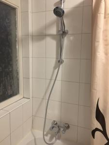 a shower with a shower head in a bathroom at Nice 3 Bedroom Serviced apartment in Oosterbeek