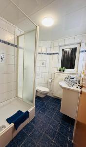 a bathroom with a shower and a toilet and a sink at Ferienwohnung mit Terrasse in Insheim
