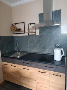 Η κουζίνα ή μικρή κουζίνα στο Вілла На Гірській