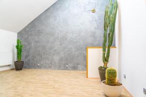 Fotografie z fotogalerie ubytování Apartmán ZA-KA 4 ubytování Litovel v destinaci Červenka