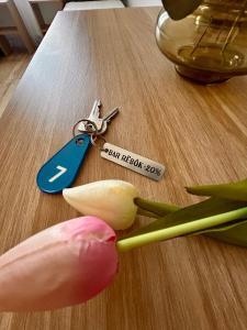 Zdjęcie z galerii obiektu Pensjonat Zatoka 17 we Władysławowie