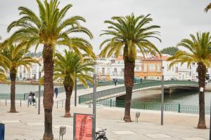 a group of palm trees next to a bridge at Taah Billa Guest House in Tavira
