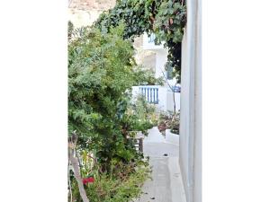 Zahrada ubytování Hotel Glaros Karpathos