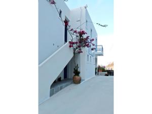 Balkón nebo terasa v ubytování Hotel Glaros Karpathos