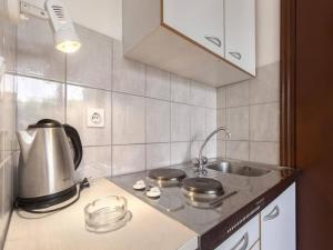 Kuchyň nebo kuchyňský kout v ubytování Apartments Pletikosa Gaj + 19 fotografií