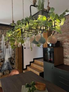 a chandelier with a plant hanging from a ceiling at Zen Retreat Apartment in Sinaia