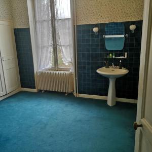 a bathroom with a sink and a blue floor at Maison de maître sur grand terrain in Mézilles +30 photos