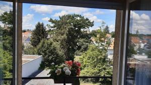 a window view of a balcony with a vase of flowers at charming apartment in Stiring-Wendel