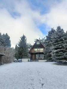 a house with a snow covered yard with trees at Dom Letniskowy, Siła in Sila
