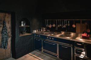 a kitchen with a stove and a sink in it at Felder Alpin Lodge in Villandro