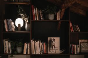 a book shelf filled with lots of books at Felder Alpin Lodge in Villandro