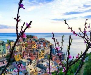 Gallery image of Sunset House in Riomaggiore
