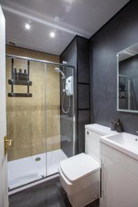 a bathroom with a shower and a toilet and a sink at Sailte House in Edinburgh