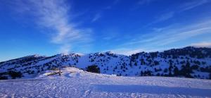 Naturlandskabet i nærheden af lejligheden