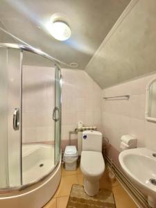 a bathroom with a shower and a toilet and a sink at Водограй in Vorokhta +68 photos