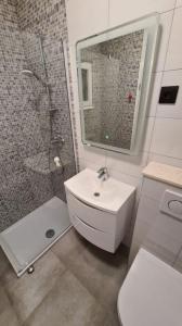 a bathroom with a shower and a sink and a toilet at Apartment Mila in Brna
