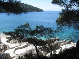 a view of a body of water with a tree at Apartment Mila in Brna