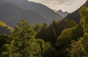 a view of a valley with trees and mountains at Wild Valley Ticino Villa in Valle Onsernone in Auressio