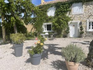 ロックモールにあるAppt 2 pieces dans Mas provençalの鉢植え三本の家