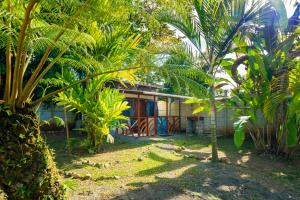 Vrt pred nastanitvijo La Casita Cozy Beachfront Cottage with Shared Pool Access
